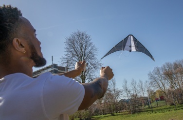 Logotrade Geschäftsgeschenke das Foto: Delta-Drachen