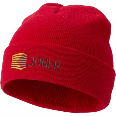 Logo trade promotional giveaway photo of: Irwin beanie
