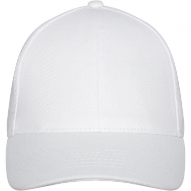 Logotrade corporate gifts photo of: Drake 6 panel trucker cap