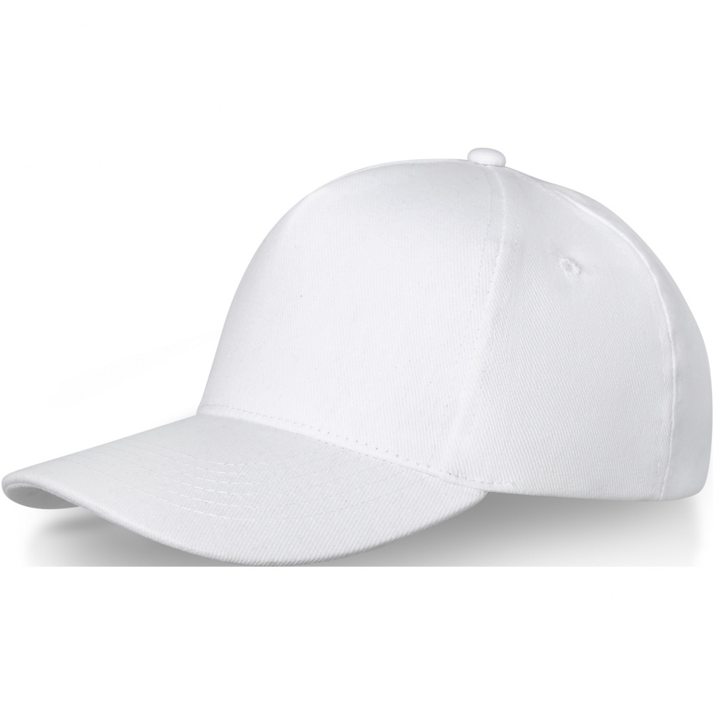 Logotrade promotional item image of: Doyle 5 panel cap