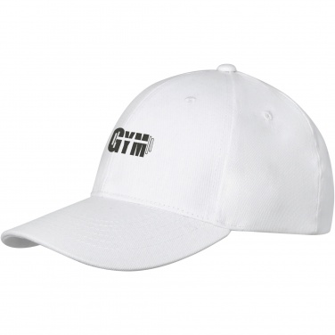 Logotrade business gifts photo of: Davis 6 panel cap