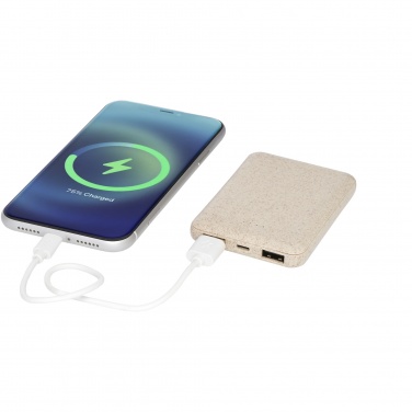 Logo trade corporate gift photo of: Asama 5000 mAh wheat straw power bank