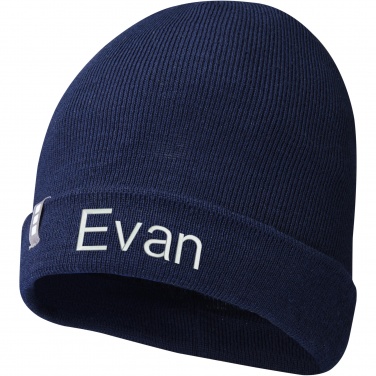 Logo trade promotional items picture of: Hale Polylana® beanie
