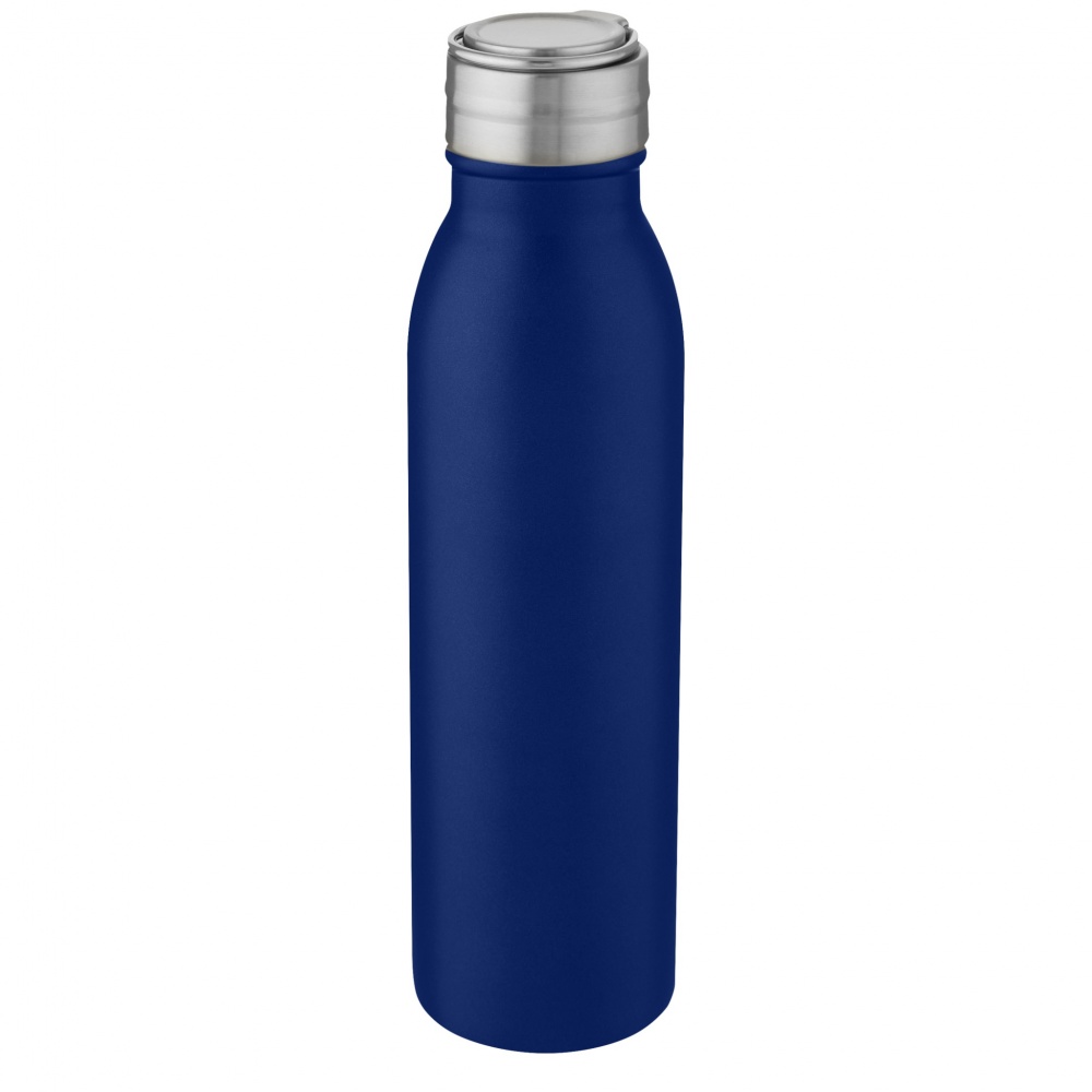Logotrade promotional giveaway image of: Harper 700 ml stainless steel water bottle with metal loop