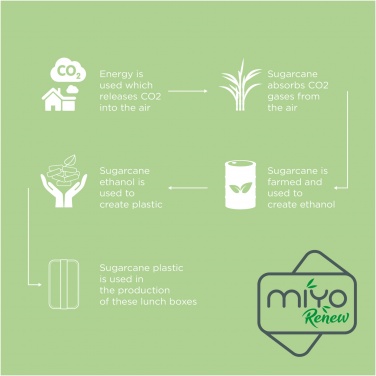 Logo trade promotional giveaways picture of: MIYO Renew single layer lunch box