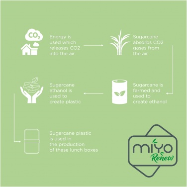 Logo trade promotional products picture of: MIYO Renew double layer lunch box