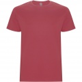 Stafford short sleeve kids t-shirt, Chrysanthemum Red
