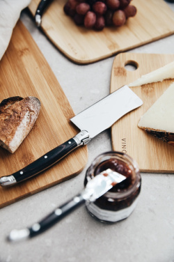 Logotrade promotional item picture of: VINGA Gigaro cheese knives