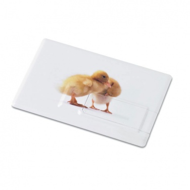 Logo trade promotional merchandise photo of: Creditcard. USB flash 32GB