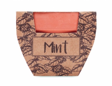 Logotrade promotional giveaway image of: Terracotta pot mint seeds