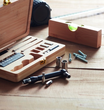 Logo trade promotional merchandise photo of: 21 pcs tool set in bamboo case