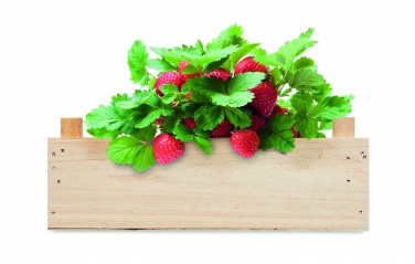 Logo trade business gift photo of: Strawberry kit in wooden crate