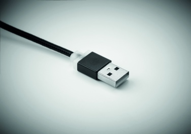 Logo trade promotional giveaway photo of: key ring with USB type C cable Salaspils