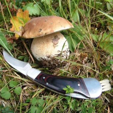 Logo trade corporate gift photo of: Mushroom knife PILZ Schwarzwolf