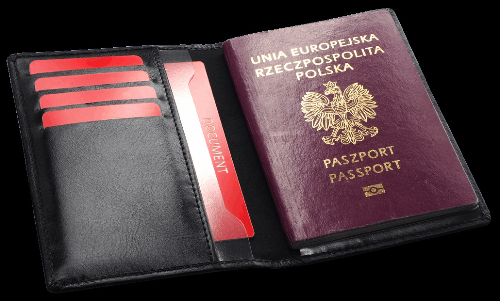 Logo trade promotional merchandise photo of: RFID passport case 1301131