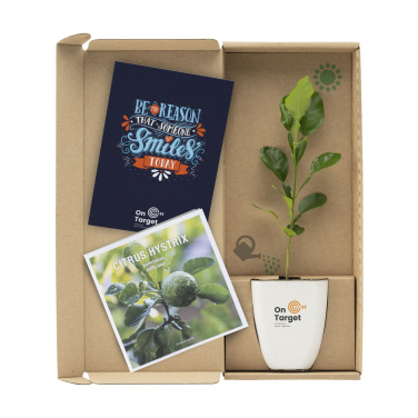 Logo trade promotional merchandise photo of: Treemore Letterbox Trees Kaffir Lemon