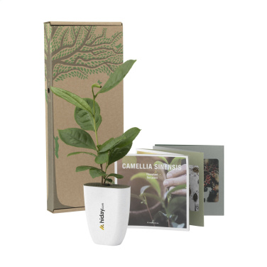 Logotrade advertising products photo of: Treemore Letterbox Trees Tea plant