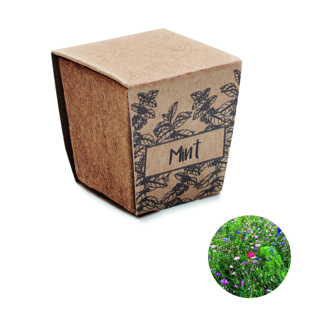 Logotrade promotional merchandise photo of: Mint seeds growing kit