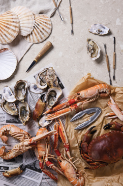 Logo trade promotional item photo of: VINGA Story of seafood