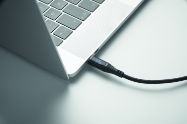 Logotrade promotional item picture of: 100W charging cable type-C