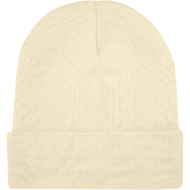 Logotrade promotional merchandise picture of: Irwin beanie