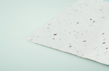 Logotrade corporate gift image of: Wildflower seed business card.