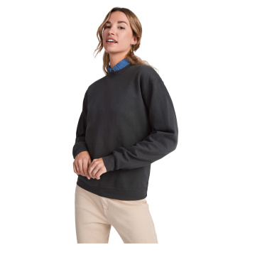 Logotrade promotional merchandise image of: Clasica unisex crewneck sweater