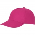 Feniks 5 paneeliga nokamüts, Magenta