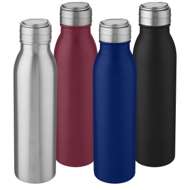 Logotrade ärikingid pilt: Harper 700 ml roostevabast terasest veepudel metallist aasaga