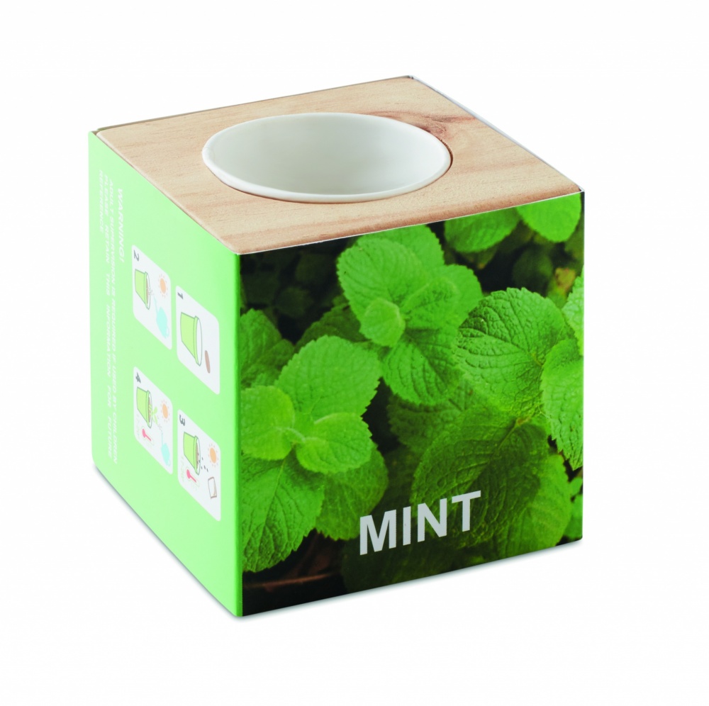 Logotrade reklaamkingi foto: Ürdipott "MINT"