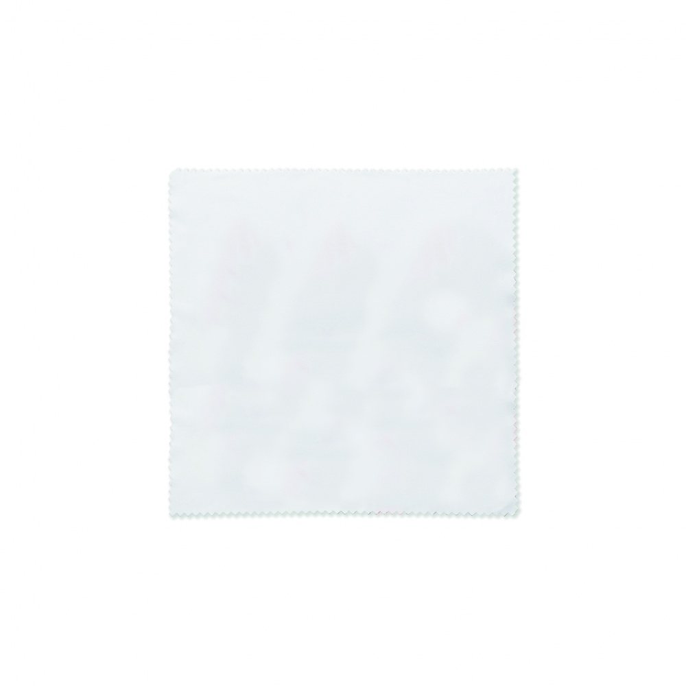 Logotrade ärikingid pilt: RPET puhastuslapp 13x13cm
