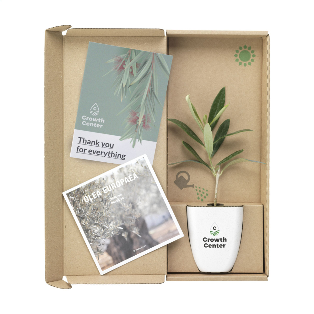 Logo trade firmakingid foto: Treemore Letterbox Trees Olive