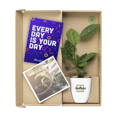 Logo trade firmakingituse pilt: Treemore Letterbox Trees Teetaim