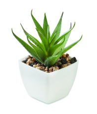 ARTILOE mini aaloe kunsttaim
