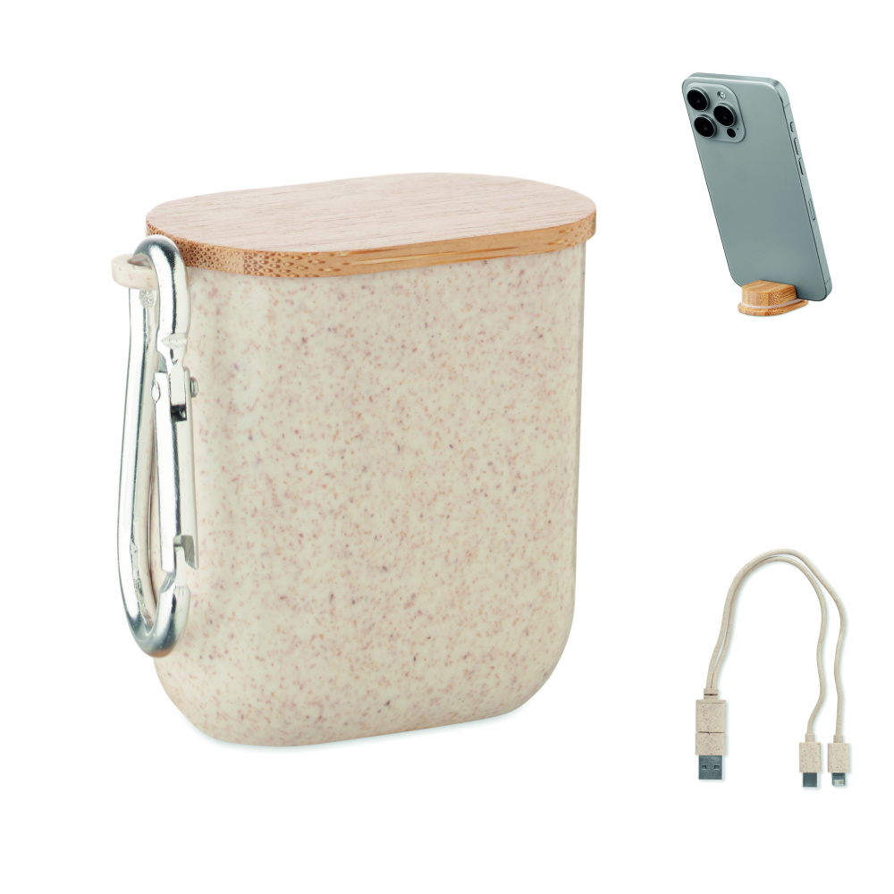 Logotrade reklaamkingi foto: CABSTRA kaablikomplekt karbis