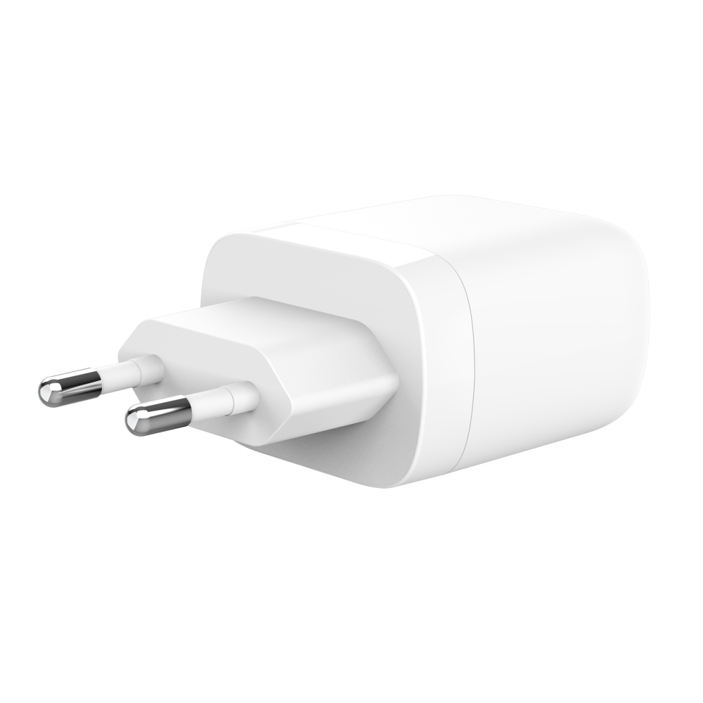 Logotrade mainostuote tuotekuva: SILICON POWER pikalaturi QM25