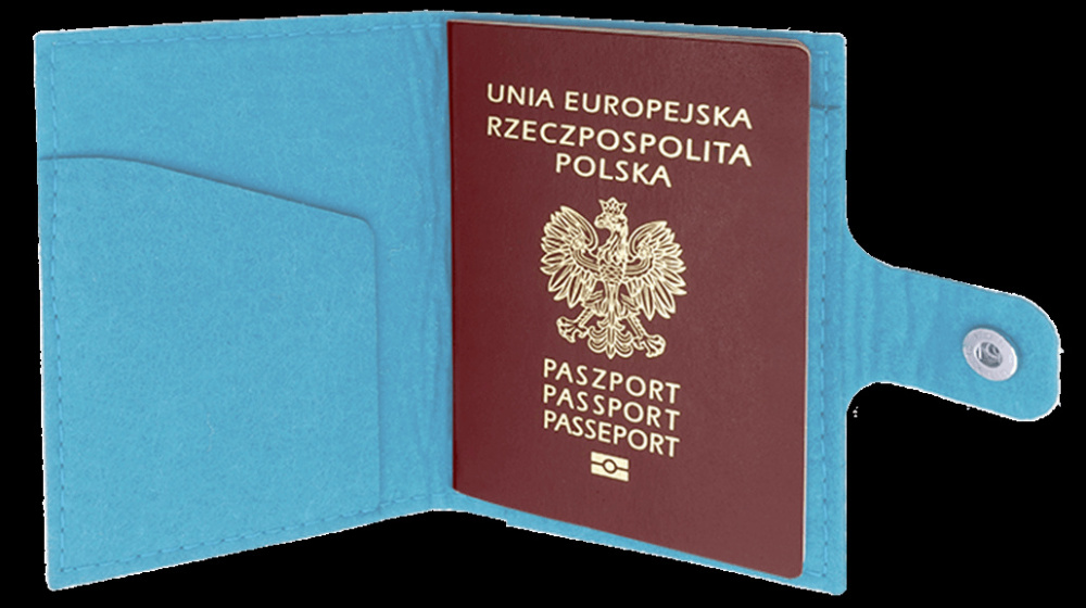 Logotrade mainoslahja tuotekuva: Passikotelo 84106200