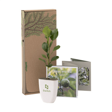 Logo trade mainoslahjat tuotekuva: Treemore Letterbox Trees Kaffir Lemon