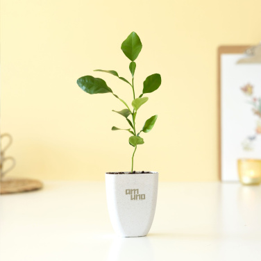 Logo trade liikelahja kuva: Treemore Letterbox Trees Kaffir Lemon