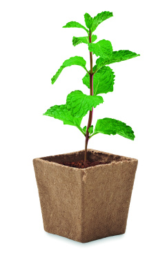 Лого трейд бизнес-подарки фото: Mint seeds growing kit