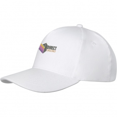 Logotrade presentreklam bild: Doyle 5-panels keps